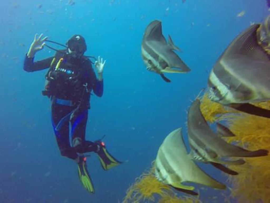 Chindonan Dive And Beach Resort Coron Esterno foto