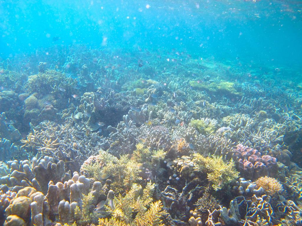 Chindonan Dive And Beach Resort Coron Esterno foto