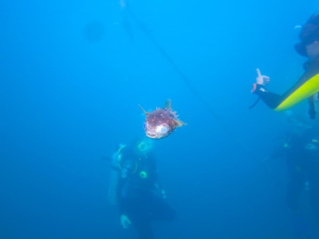 Chindonan Dive And Beach Resort Coron Esterno foto